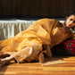 EB-04  SIENNA | Qalamkar Rahi Luxury Festive Collection 2022 | Unstitched Embroidered Lawn Suits
